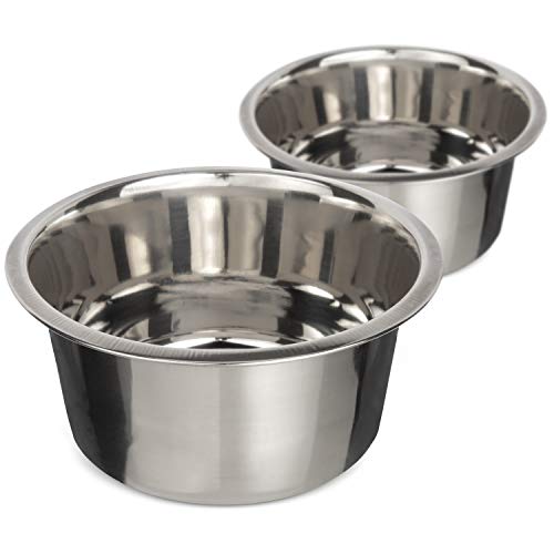 Neater Pet Brands 5 Cup (40 oz.) Stainless Steel Dog Bowls, Set of 2 Neater Feeder Replacement Bowls (Medium Deluxe Model), Dog Food Bowl & Water Bowl, Dishwasher Safe Metal Dish for Medium Dogs - color: Two Pack, size: 5 Cup