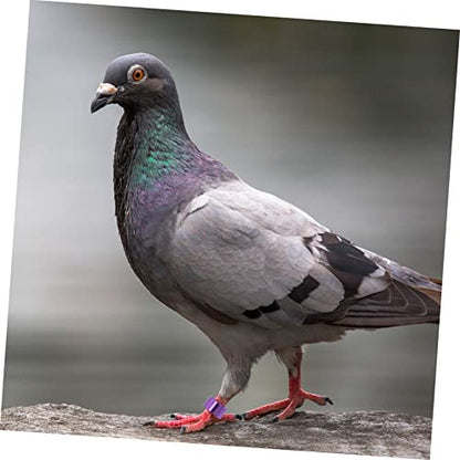 BESPORTBLE Easy to Use Bird Leg Bands 18pcs Pigeon Racing Rings Aluminum Bird Leg Bands for Identification Random Color