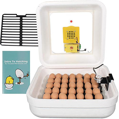 HovaBator Genesis Starter Combo Kit, Egg Incubator, Turner,Quail Tray,Guide - size: Starter Combo Kit + Quail Tray
