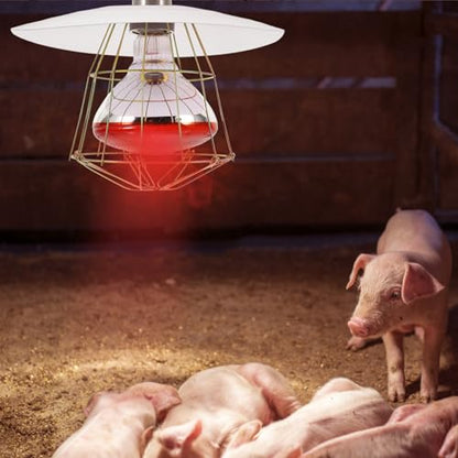 BESPORTBLE Reptile Heat Lamp Guard Metal Poultry Heater Lampshade for Chicken Durable Pet Heater Accessory with Improved Heat Efficiency Quick Setup for Livestock Environments