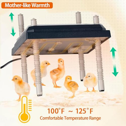 Chick Brooder Heating Plate, 10" x 10" Chick Incubator Heating Lamp, Adjustable Angle and Height Chick Brooder, Safe Incubators With Easy Clean Plate for Chicks/Ducks Thermostat for 15 Chicks (Black)