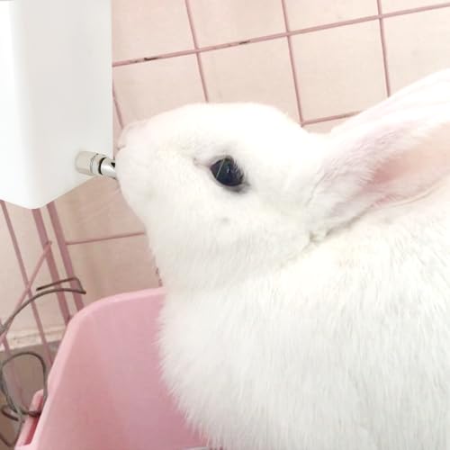 Threaded Stainless Steel Rabbit Nipples Rodent Nipples Waterer Automatic Rabbit Waterer Watering System Animal Supplies Breeding Supplies (Grey, 6) - color: grey, size: 6