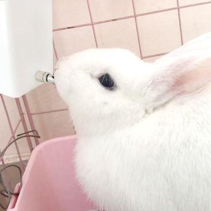Threaded Stainless Steel Rabbit Nipples Rodent Nipples Waterer Automatic Rabbit Waterer Watering System Animal Supplies Breeding Supplies (Grey, 6) - color: grey, size: 6