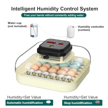 CoInceptus 35 Egg Incubator with Automatic Egg Turning and Humidity Control, Incubator for Chicken Eggs, Quail, Duck Eggs, with Egg Candler