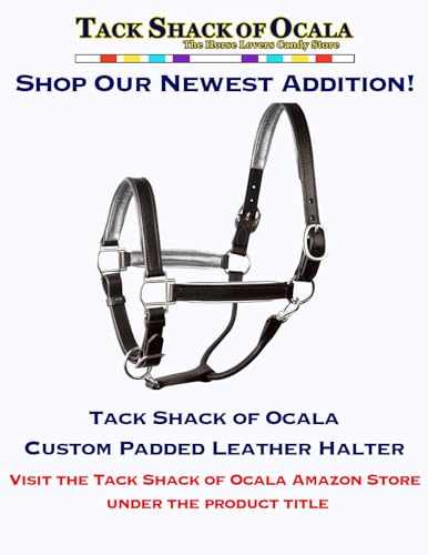 Tack Shack of Ocala Leather Halter for Horses with Customized Engraved Name Plate Option Halter for Horse | Brown/Brass, Black/Brass, Black/Chrome Options - size: Yearling/Large Pony