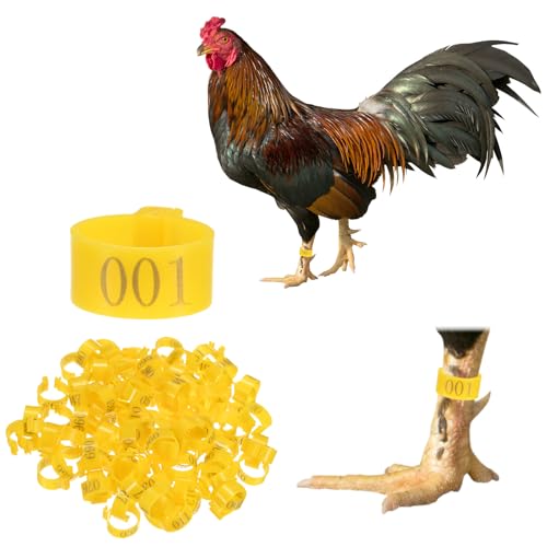 M METERXITY 100-Pack Chicken Leg Bands, 16 mm Plastic Poultry Identification Chicken Leg Rings for Turkey/Duck/Goose/Chicks, Colorful Numbered Foot Clip on Tags [Yellow] - color: Yellow, size: 2 x 2.1 x 1 cm / 0.79 x 0.83 x 0.4 in(L x W x H)