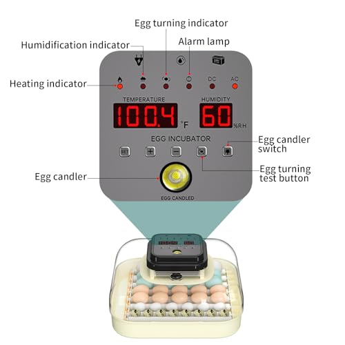 CoInceptus 35 Egg Incubator with Automatic Egg Turning and Humidity Control, Incubator for Chicken Eggs, Quail, Duck Eggs, with Egg Candler