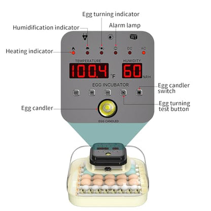 CoInceptus 35 Egg Incubator with Automatic Egg Turning and Humidity Control, Incubator for Chicken Eggs, Quail, Duck Eggs, with Egg Candler