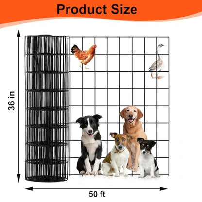 Wire Mesh Roll for Poultry Cages 36IN x50FT- Heavy Duty Fencing Net for Farm Garden Animal Plant Protection, Chicken Wire Fence, Easy to Install Fencing for Rabbits, Birds, Vegetables (Black) - color: Black