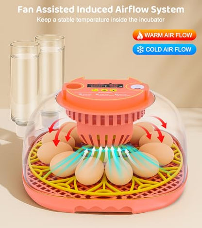 12 Egg Incubator for Hatching Eggs, Smart Temperature and Humidity Control, Automatic Egg Turning, Incubator for Hatching Chicken, Quail, Duck Eggs, 360° Clear View for Home, Classroom, Farm