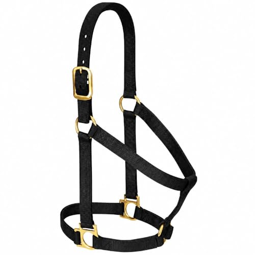 Weaver Leather Basic Non-Adjustable Nylon Horse Halter - color: Black, size: 1" Small Horse