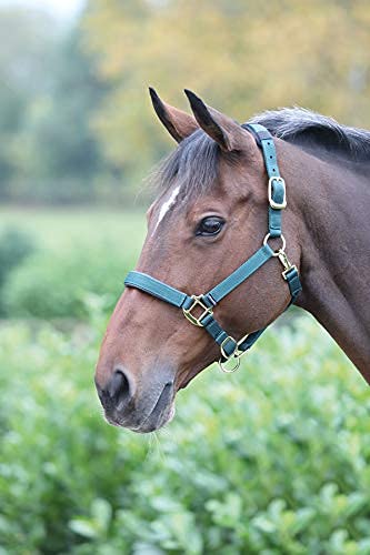 Shires Topaz Leather Breakaway Nylon Headcollar - color: Dark Greeen, size: X-Small Pony