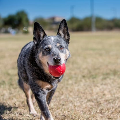 KONG Ball with Hole - Durable Dog Fetch Toy for Training, Interactive Playtime & More - Classic KONG Natural Rubber Ball - Red - For Large/Medium Dogs - size: Medium/Large