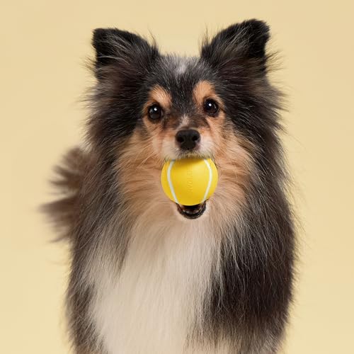Playology Dog Toys | Squeaky Chew Ball for Dogs, Value 3-Pack | Chicken Scented Small Dog Balls | Bouncy Floating Chew Toys for Fetch - size: Small (VALUE 3-Pack), style: Chicken