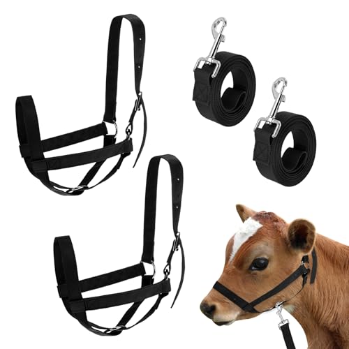 M METERXITY 2-Pack Adjustable Cattle Cow Calf Halter, 18.9"-23.23" Nylon Livestock Cow Halter with Leading Rope for Miniature Horse/Donkey/Goat/Cattle [Black] - color: Black, size: 18.9"-23.23"