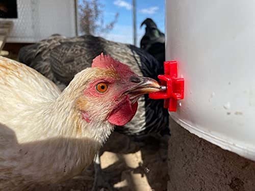 Noble Nest 5 Gallon Bucket Chicken Nipple Waterer, 8 Nipple, 360° Waterer - color: No Stand, size: 8 Nipple, 360° Waterer