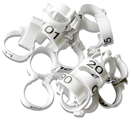 Chicken Leg Rings - 20 Numbered Tag Markers for Adult Birds | 5/8” to 3/4” Legs | Clip On Poultry Ankle Bands for Gamefowl, Ducks, Guineas | Colored ID Legband for Breeding Marking, & Banding | Fowls - color: White, size: LARGE