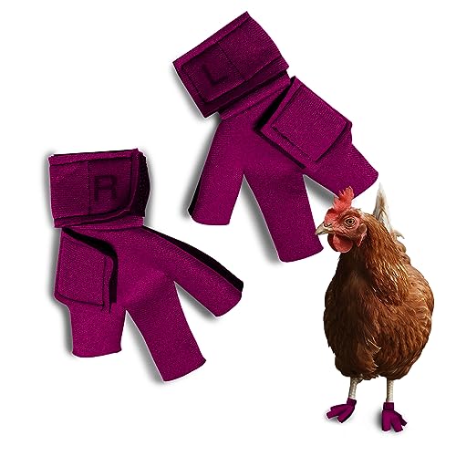 Chicken Shoes for Injured Feet – Protective Neoprene Footwear for Chicken, Open-Toe Design for Bumblefoot Relief, Made in USA - Standard, 3" Max. Inside Width, Pink - color: Pink, size: Standard Chickens, style: CHICKEN SHOES