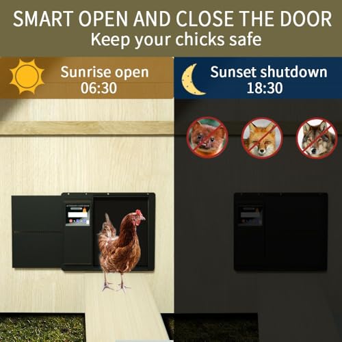 Automatic Solar Powered Chicken Coop Door, Light Sensor and Remote Control, Weatherproof Anti-Pinch Poultry Door(Black) - color: Black