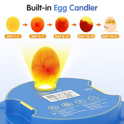 Chicken Egg Incubators for Hatching Eggs, 18 Egg Incubator with Automatic Egg Turning, Digital Control, 2 Egg Trays, Candler & Automatic Water Refill for Chicken Quail Duck Turkey Goose Bird - size: 18 Eggs