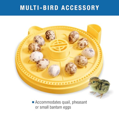 Brinsea Small Egg Insert Optional Accessory for Mini Advance Incubator System, Fits 12 Pheasant or Quail Size Eggs - size: Fits 12 Eggs, style: Mini Advance