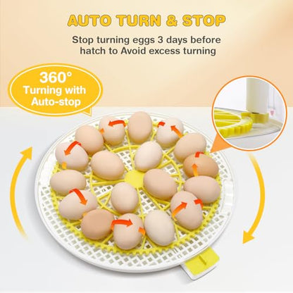 Sailnovo 18 Eggs Incubator for Hatching Eggs with Automatic Egg Turning, Humidity Level Display, Egg Candler, Hatch Days & Incubator for Chicken Eggs,Ideal for Farm,School and Lab (Yellow)