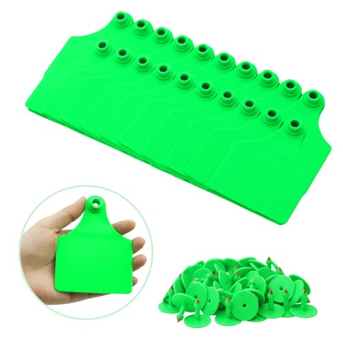 100PCS Blank Cattle Ear Tags TPU Precision Large Size Livestock Identification Ear Tags for Cattle Cows Pigs Hog Goats Sheep Calf Animal (Green) - color: Green