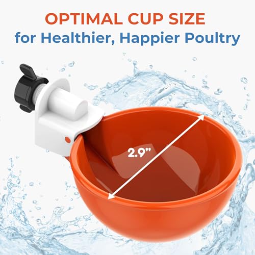 Lil'Clucker Large Automatic Chicken Waterer Cups | Chicken Water Feeder Suitable for Chicks, Duck, Goose, Turkey and Bunny | Poultry Water Feeder Kit (Orange, 5-Pack) - size: 5-Pack