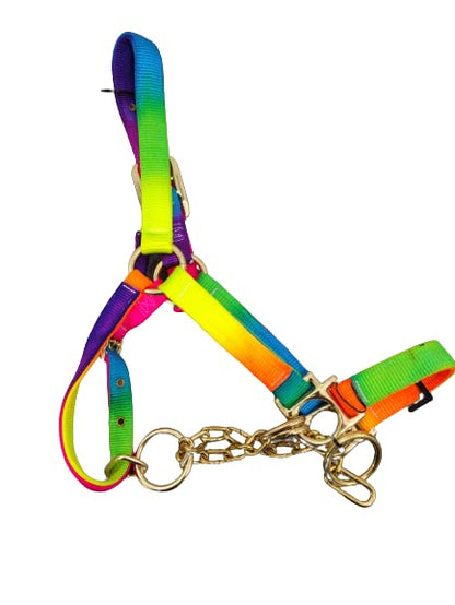 Heavy Duty Nylon Yearling Cow Halter with Control Chain - size: Royal Blue