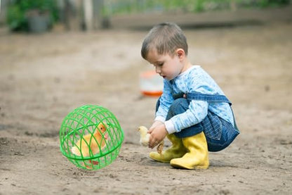 7.8" Ball-Shaped Movable Pigeon Chick Coop, Little Rabbit Duck Guinea Pig Safe Walking Net,Preventing Dog Bites, Predation by Eagles Wolves Cats Eagles, Pet Safety Cage - color: Green