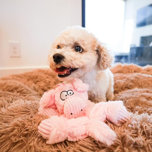 Barnyard Buddy Piggy Plush Dog Toy with Tennis Ball Inside