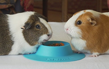 Tip-Proof Ergonomic Pet Bowl for Guinea Pig and Other Small Pets; 1/4-Cup Size; Sky Blue (Pack of 2) - size: Small 1/4 cup (Pack of 2)