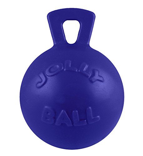 Jolly Pets Tug-n-Toss Dog Toy Ball with Handle, 8 Inches/Large, Blue - color: Blue, size: Large (8 in)
