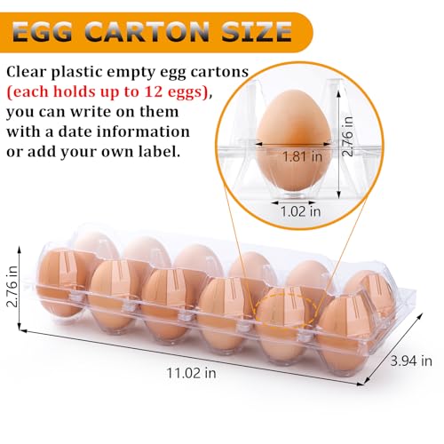 48 Pack Egg Cartons Cheap Bulk 12 Count, 1 Dozen Clear Empty Chicken Egg Cartons for Chicken Eggs, Plastic Egg Holder Egg Container for Family, Chicken Farm and Markets - Medium Reusable Egg Carton - size: 48P2×6