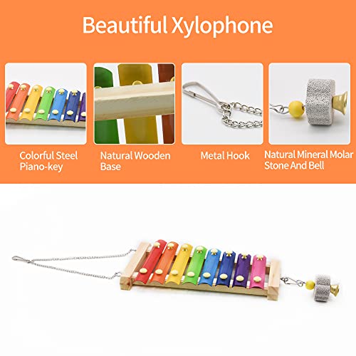 Swing Toys Xylophone, 2pcs Chicken Toys for Poultry Run, Rooster Hens Chicks Pet Parrots Macaw Entertainment, Stress Relief for Birds - size: 2pcs Chicken Swing Toys Set