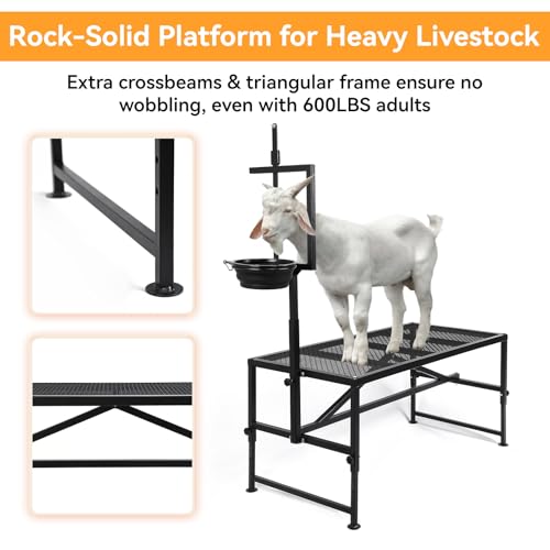 Goat Milking Stand with Feed Bin, 600 LBS Heavy Duty Sheep Trimming Stand, Adjustable Headpiece Livestock Stanchion, Stable Metal Hoof Trimming Platform for Grooming & Shearing, Farm Equipment