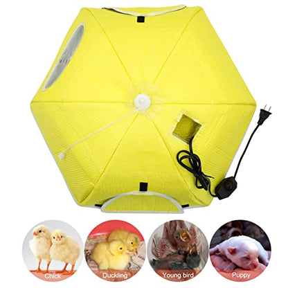 Large Chick Brooder Heating Plate Chick Brooder Box 21.6" Heat up to 50 Chicks, Chick Warmer Chicken Coop Heater Poultry Brooder for Chick Duckling Quail Goose Bird Hatchling