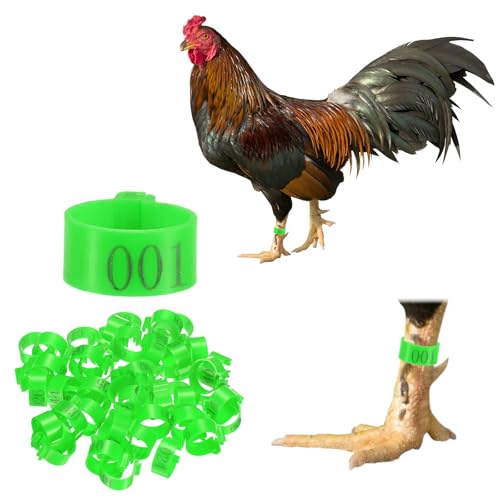 M METERXITY 50-Pack Chicken Leg Bands, 16 mm Plastic Poultry Identification Chicken Leg Rings for Turkey/Duck/Goose/Chicks, Colorful Numbered Foot Clip on Tags [Green] - color: Green, size: 16 mm