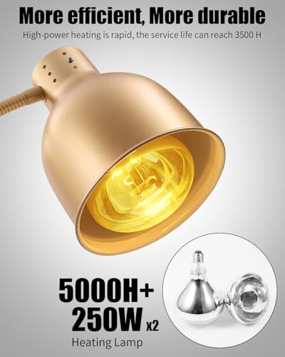 Food Heat Lamp, Heating Lamp with Flexible Arm, 250W Bulb x 3-5000 Hours Rated, Commercial Food Warmers for Buffet, Parties, Fast Food, (Brass) - color: Brass, size: Double-Head