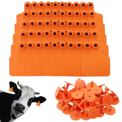 100PCS Identification TPU Precision Blank Cattle Ear Tags for Cattle Goats Sheep Pigs Hogs Calf Cows Tags Livestock (Orange) - color: Orange