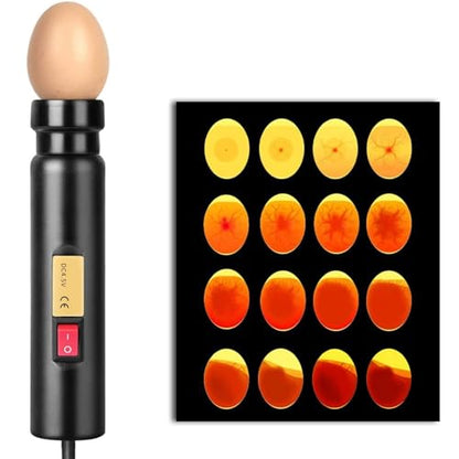 LED Egg Hatching Test Light, High LED Chicken Egg Candler Mini Egg Tester Pen for Science Experiment