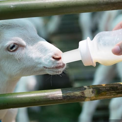 TIDTALEO 10pcs Calf Milk Bottle Nipples Rubber Pacifiers for Livestock Feeding Sturdy Calf Nursing Bottles Accessories for Farm Animal Milk Feeding