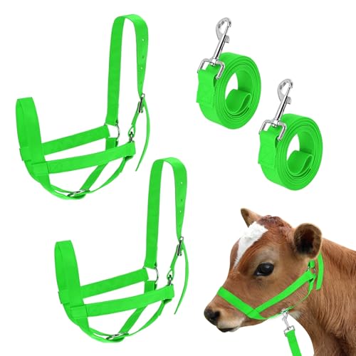 M METERXITY 2-Pack Adjustable Cattle Cow Calf Halter, 18.9"-23.23" Nylon Livestock Cow Halter with Leading Rope for Miniature Horse/Donkey/Goat/Cattle [Green] - color: Green, size: 18.9"-23.23"