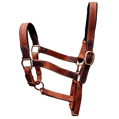 Blazing Paws Vibrania Padded Leather Pony Horse Halter in Two Tone Super Soft Premium Distressed Leather with Solid Brass Hardware (Pony Size, Tan) - color: Tan, size: Pony Size