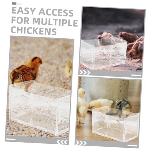 Toddmomy 3pcs Rutin Chicken Feeder and Water Bowl Automatic Poultry Dispenser for Healthy Feeding Design for Backyard Farmers and Hobbyists