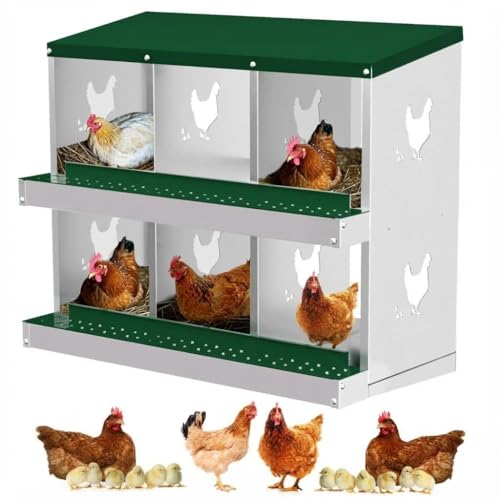 Chicken Nesting Box,6 Holes Galvanized Steel Metal Chicken Laying Box with Automatic Roll-Away Egg Collection System & Removable Tray,Wall Mount Nesting Boxes - color: Green, size: 6 Holes