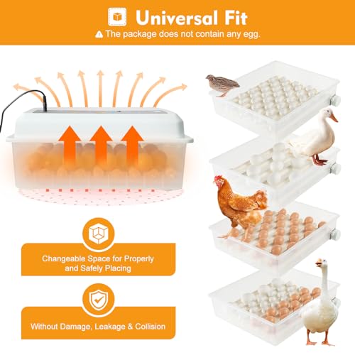 64 PCS Eggs Incubator, 3-in-1 Automatic Egg Incubator for Hatching Eggs with Digital Control, White Automatic Egg Turner with 360° Auto Turning & Uniform Heating for Home & Farm Use - size: 64 PCS