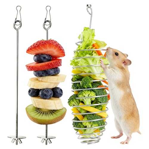 3PCS Rat Enrichment Toys Stainless Steel Bird Food Holder Rat Parrot Foraging Toy Fancy Mice Cage Accessories Puzzle Toy Slow Feeder