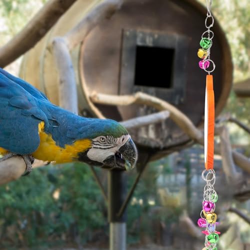 GALPADA Acrylic Chicken Mirror Hanging Swing with Beak Grinding Function for Pet Birds and Chickens Sturdy Chew-Resistant Parrot Mirror Accessory for Cage Enrichment and Play