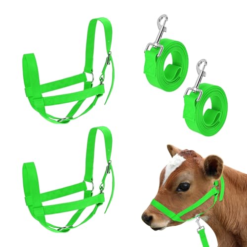 M METERXITY 2-Pack Adjustable Cattle Cow Calf Halter, 12.6"-18.9" Nylon Livestock Cow Halter with Leading Rope for Miniature Horse/Donkey/Goat/Cattle [Green] - color: Green, size: 12.6"-18.9"